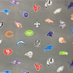Pottery Barn Teen NFL flat twin sheet‎